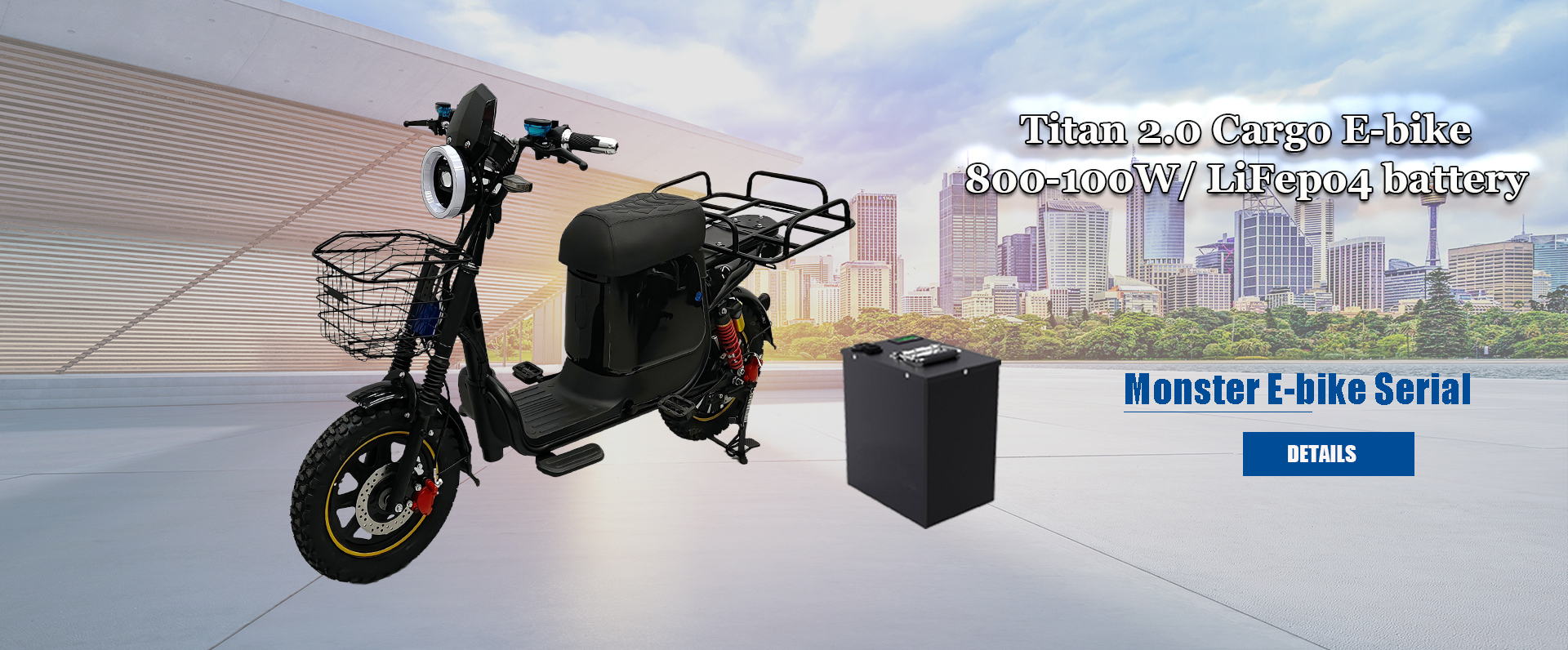 quality Electric Bicycle factory